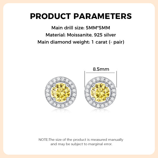 925 Sterling Silver Moissanite Earring