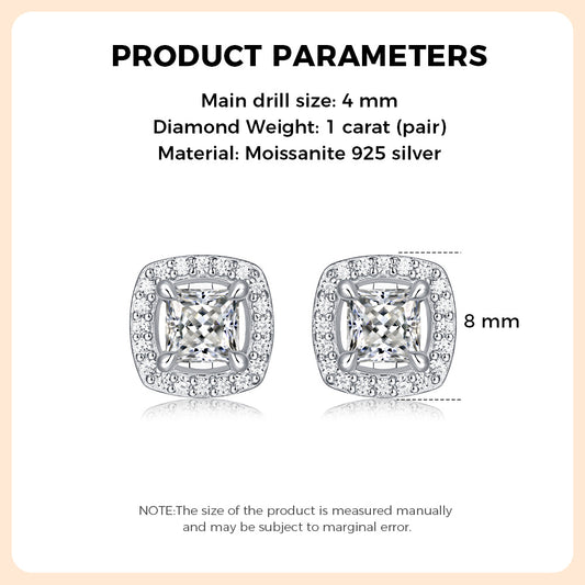 925 Sterling Silver Moissanite Earring