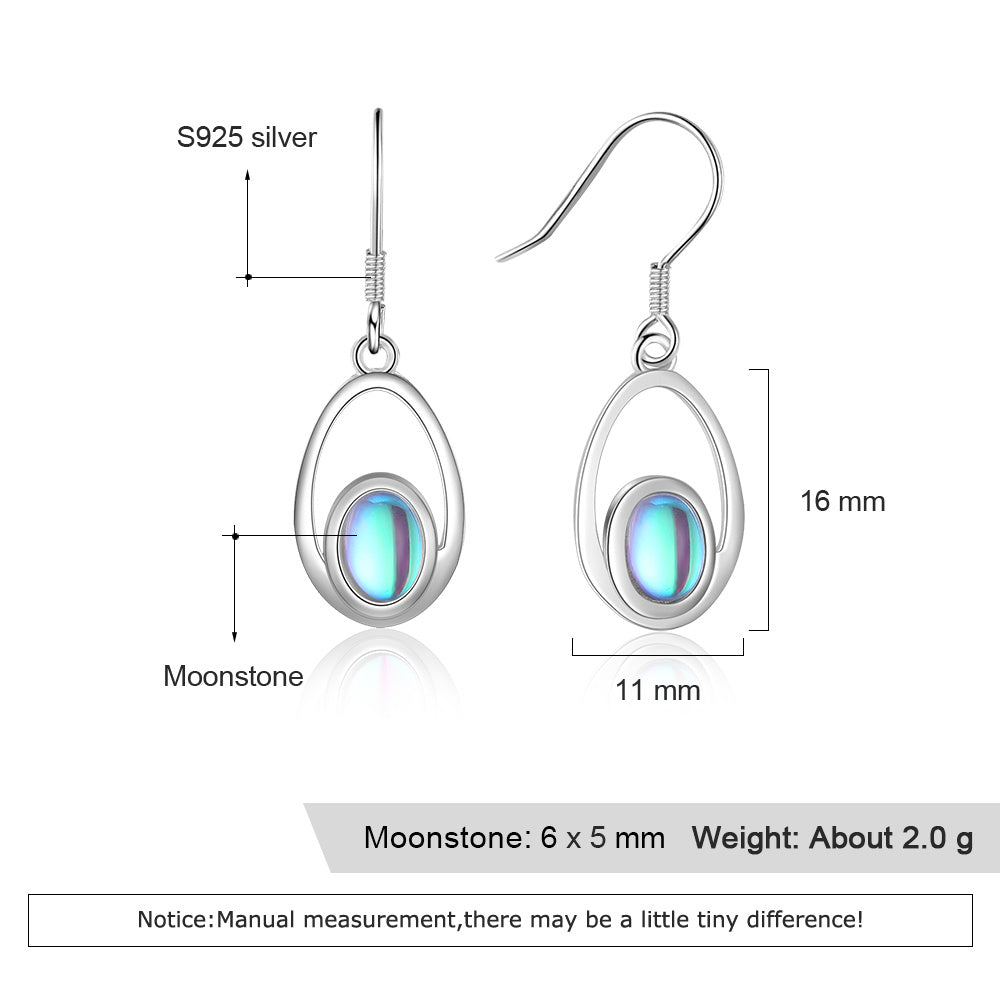 925 Sterling Silver Earrings